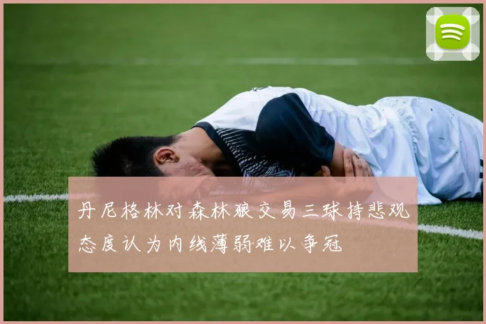 丹尼格林对森林狼交易三球持悲观态度认为内线薄弱难以争冠